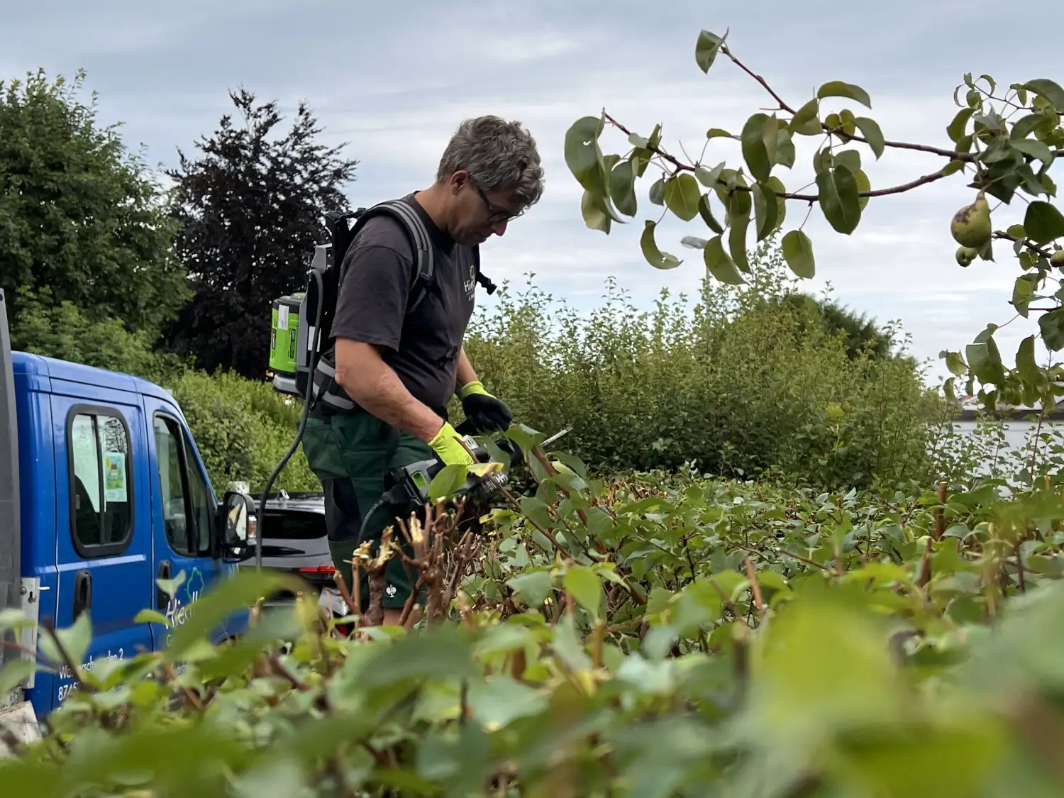 Garten- und Landschaftsbau
