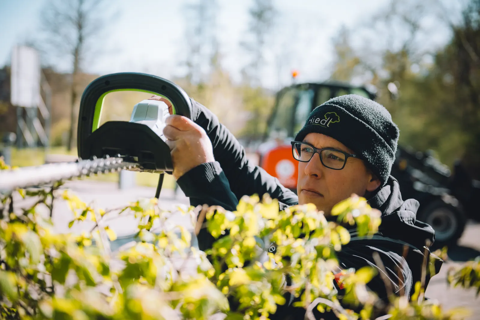 Formschnitt einer Hecke mit dem Akku-Heckenschneider